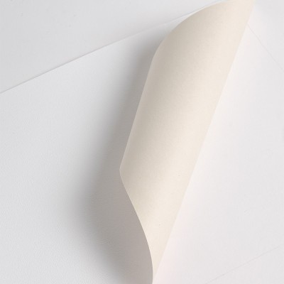 P13003 - WallPaper Digifort motif Dust Satin