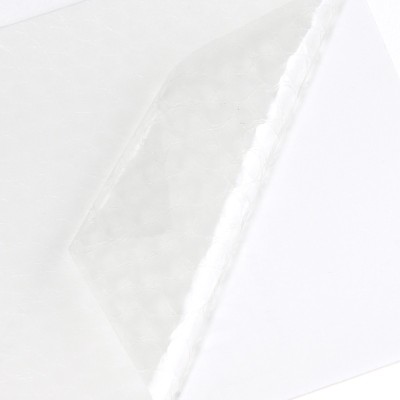 PCGATOR - Transparent effet Alligator