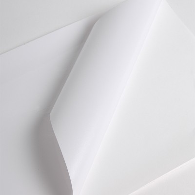 VCSR300WG1 - Blanc Brillant adh permanent super renforcé gris